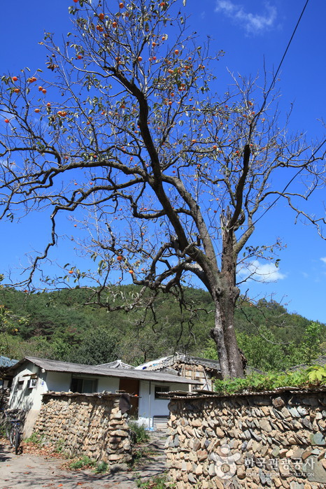 大邱漆溪村