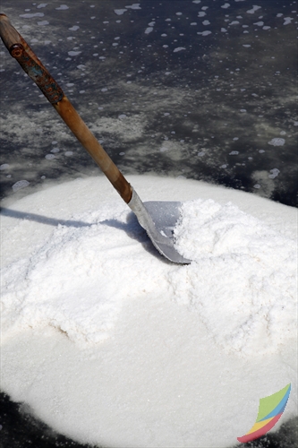 Gomso Salt Field (곰소염전)