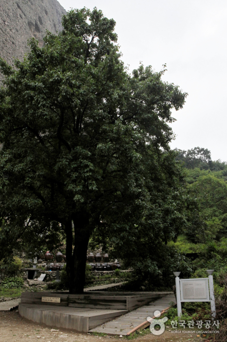 마이산도립공원6