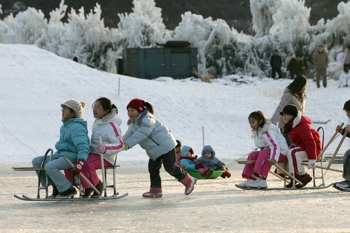 Inje Icefish Festival (인제빙어축제)