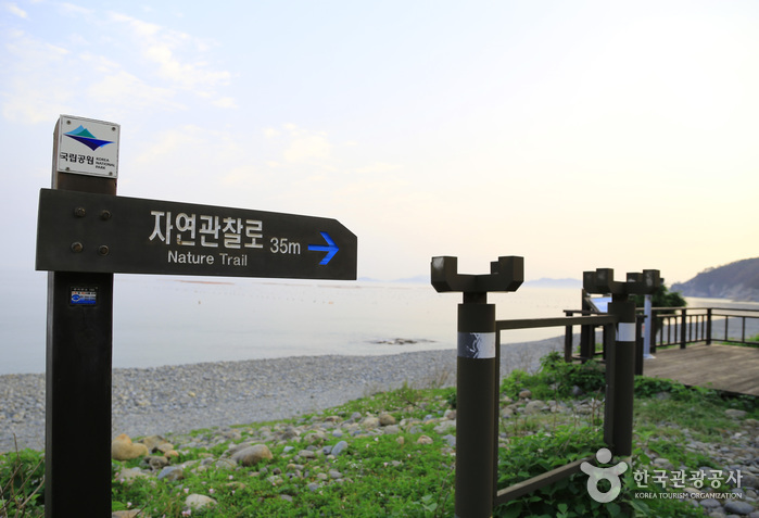 Strand Sinji Myeongsasimni (신지명사십리해수욕장)