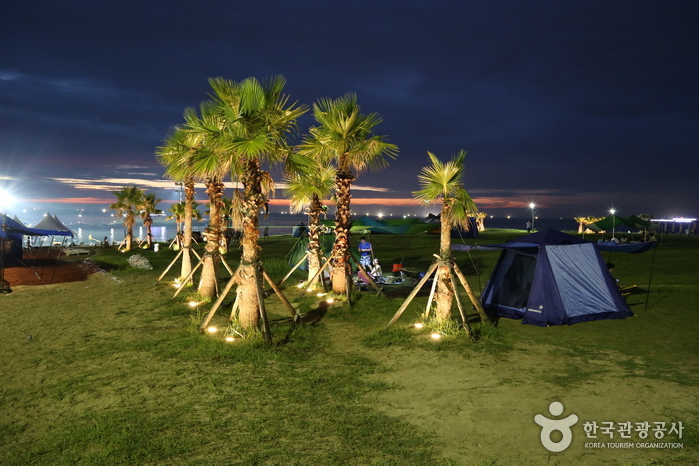 야자수 아래 텐트를 친 피서객들