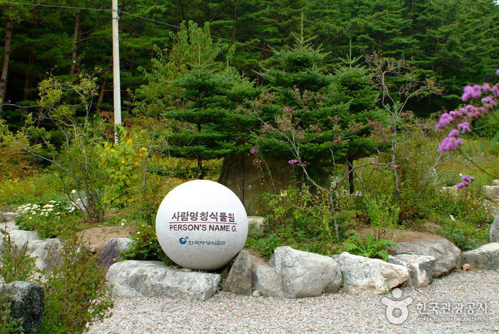 Botanischer Garten für Koreanische Pflanzen (한국자생식물원)