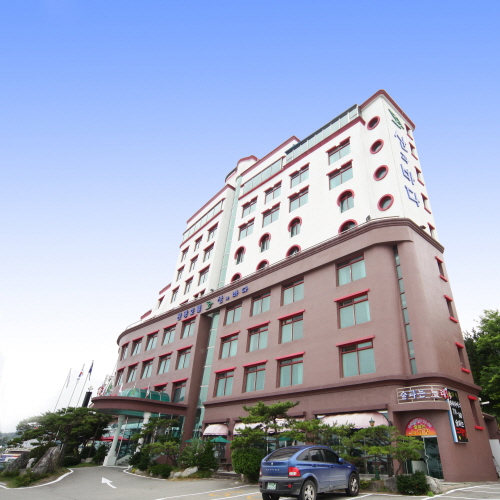 Отель Benikea Hotel Mountain&Ocean Daepohang (베니키아 호텔 산과 바다 대포항)