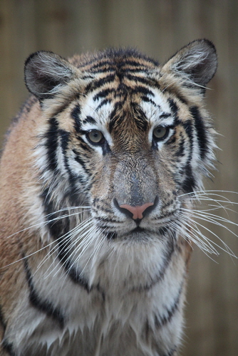 부산 삼정 더파크5