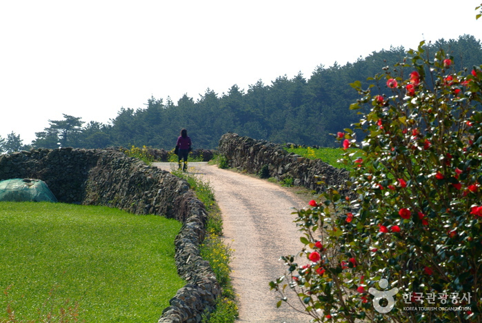 »îÀÇ »ýä±â °¨½Î µµ´Â ºÓÀº ȲÅê±æ, ¡®½½·Î¿ìÅÛÆ÷¡¯ ÀÇ ¹Ù´Ù¸¦ °È´Ù