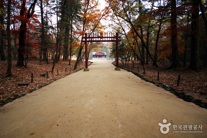 Tumba Real Gwangneung en Namyangju (남양주 광릉) [Patrimonio Cultural de la Humanidad de la Unesco]