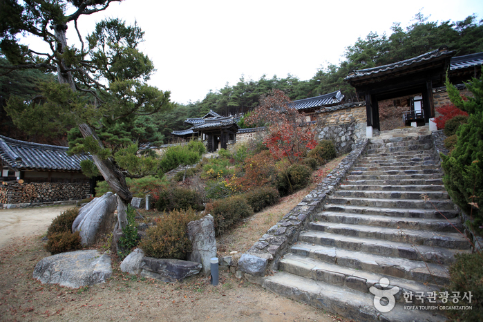 Village Gunja à Andong (Site des reliques Ocheon) (안동 군자마을(오천유적지))