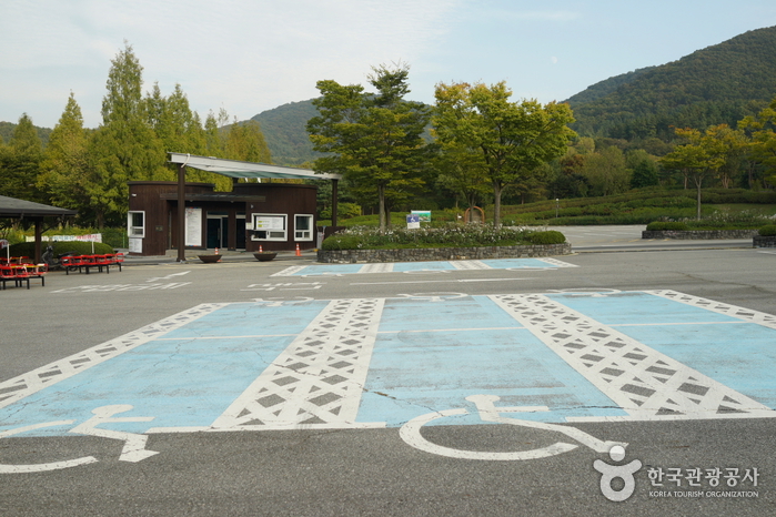 Bosque Recreativo Geumgang (Arboreto Geumgang, Museo Forestal) (금강자연휴양림(금강수목원,산림박물관))