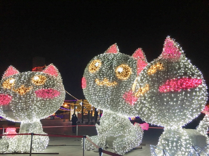 고양호수꽃빛축제 (Goyang Light Blooming Festival) 2017 사진9
