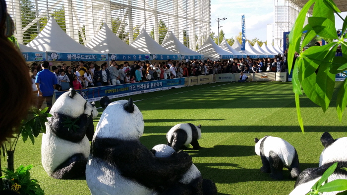 동물보호문화축제 2019