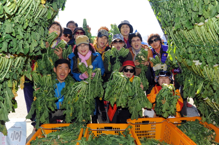 DMZ펀치볼시래기축제 2020