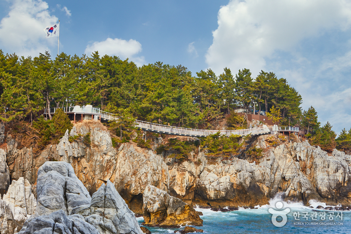 삼양라운드힐 (구, 대관령 삼양목장)4