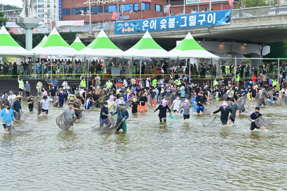 Фестиваль рыбы айю в Понхва (봉화은어축제)