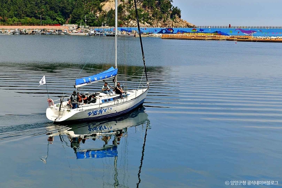 양양 수산항 (9)