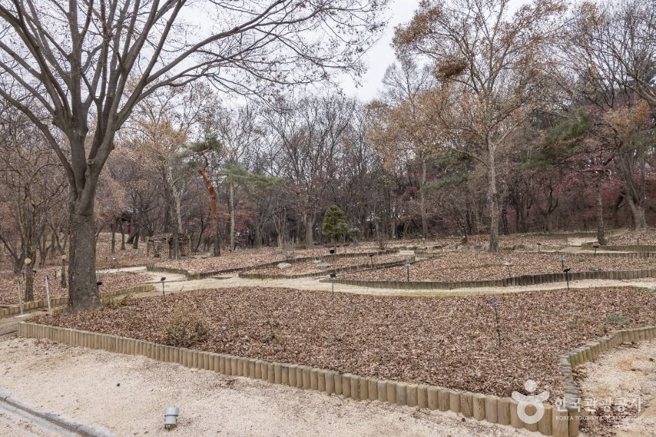 thumbnail-창경궁 대온실-24