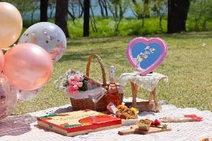 2025 남이섬 벗(友)꽃놀자 2