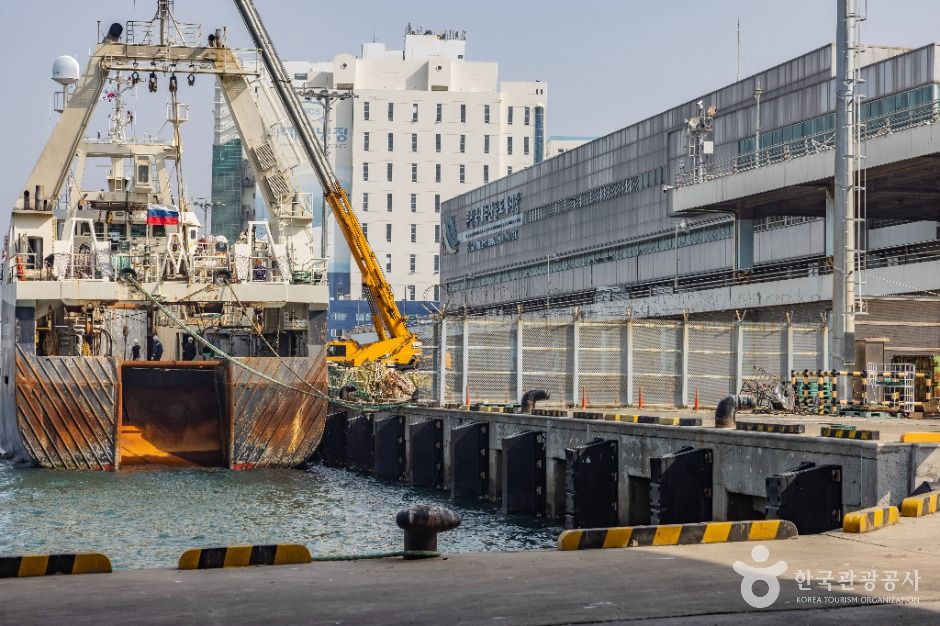 부산_부산 국제수산물도매시장 (6)