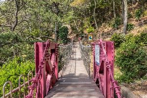 부산_부산 암남공원 (7)