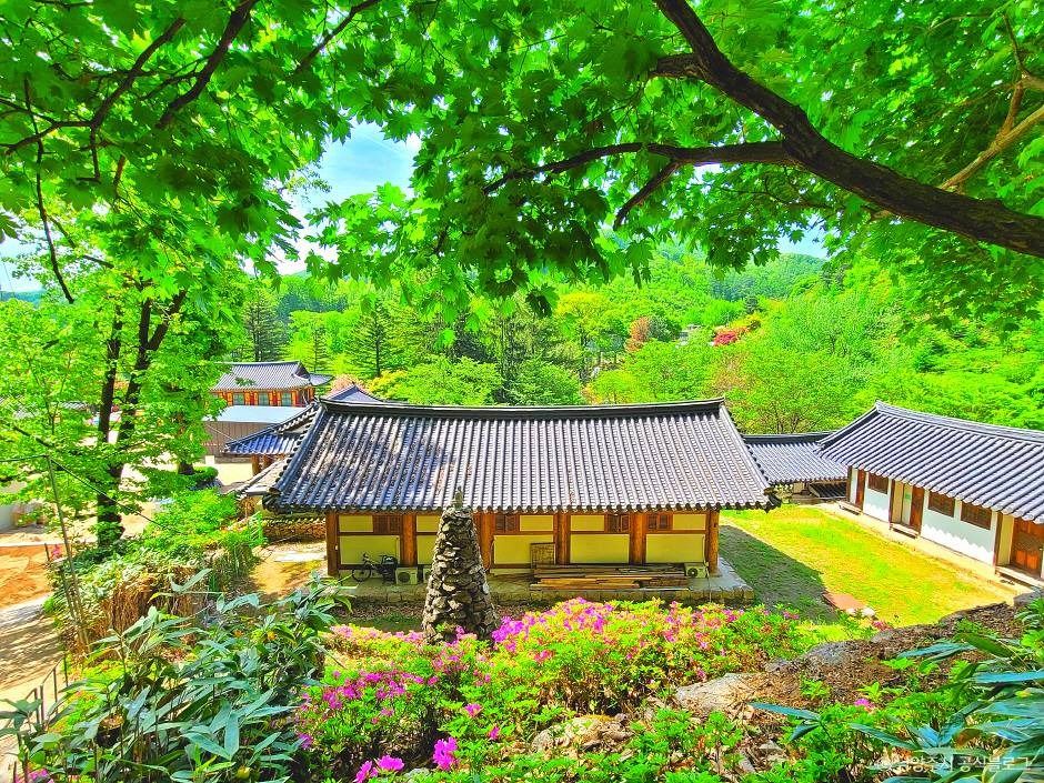 묘적사