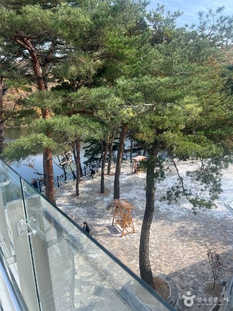 카페 고래호수
