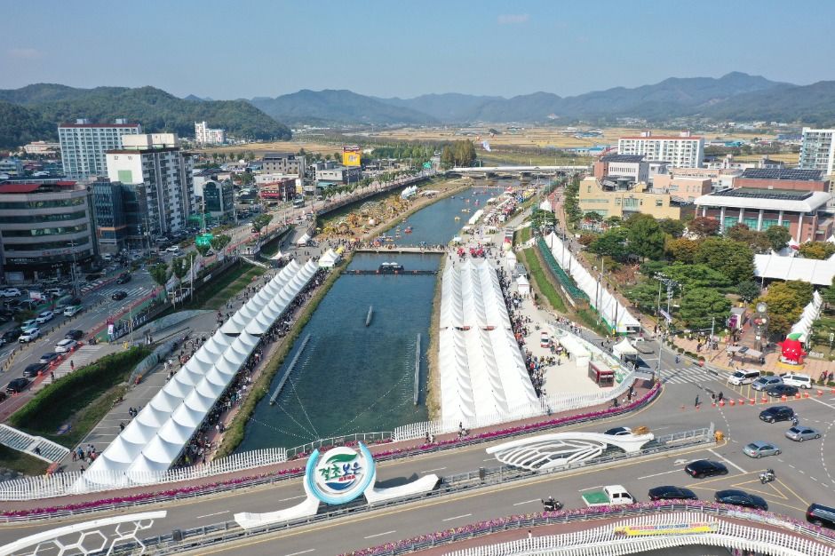 보은대추 축제