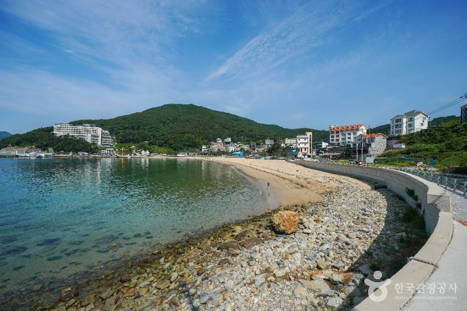 와현모래숲해변