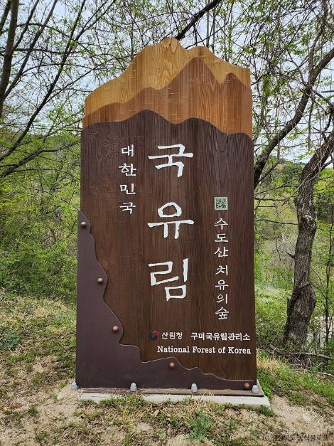 국립김천치유의숲