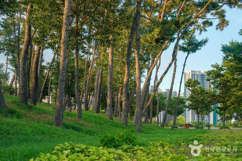 중산지