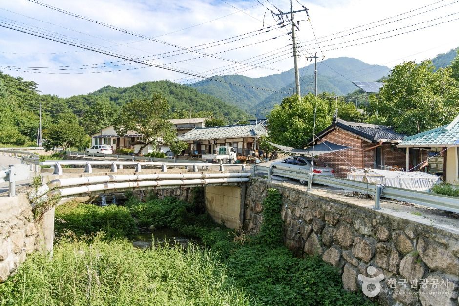 춘양목송이 정보화마을