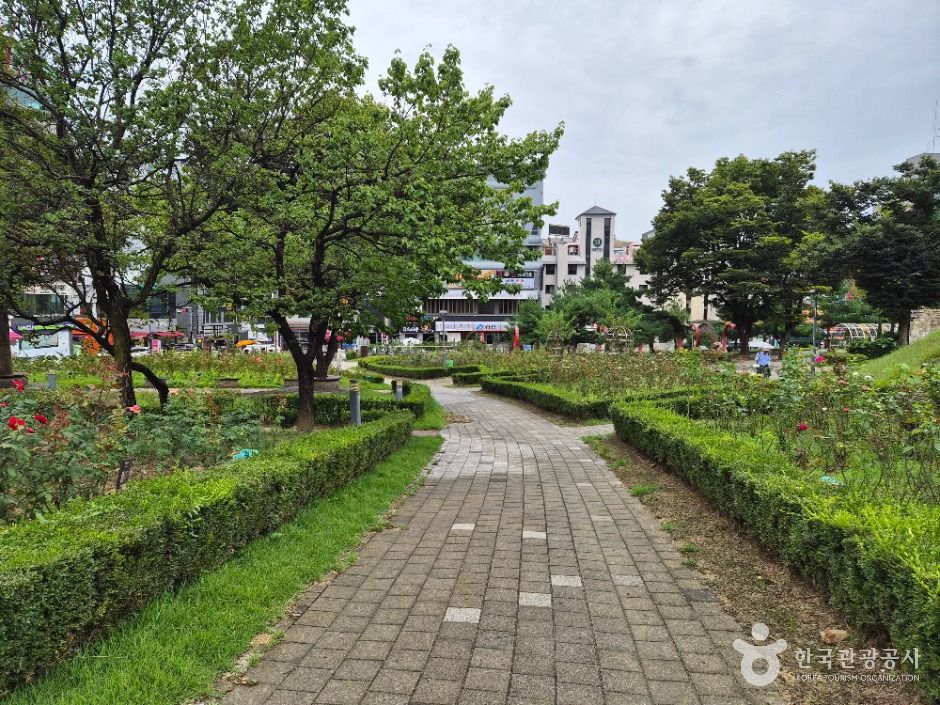 장미공원