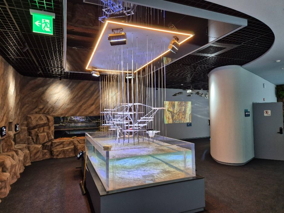 단양 다누리아쿠아리움