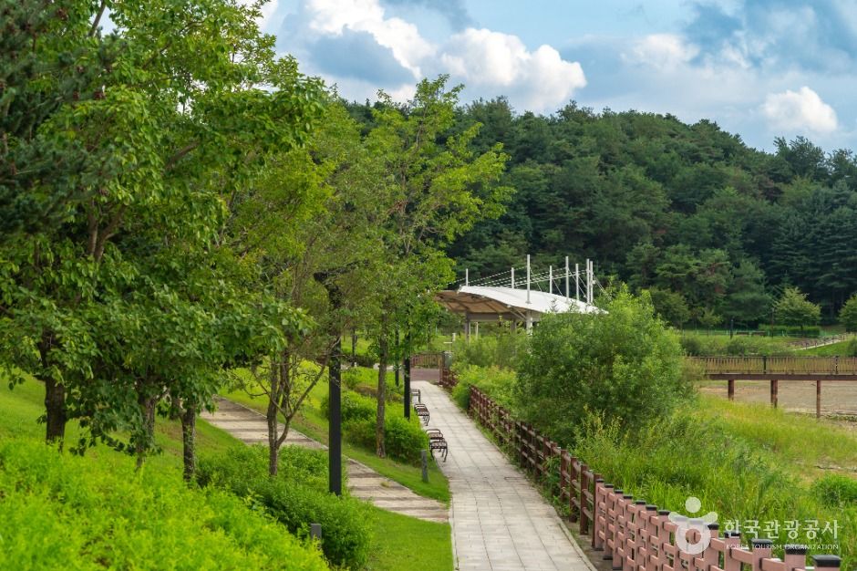 thumbnail-행구수변공원-3