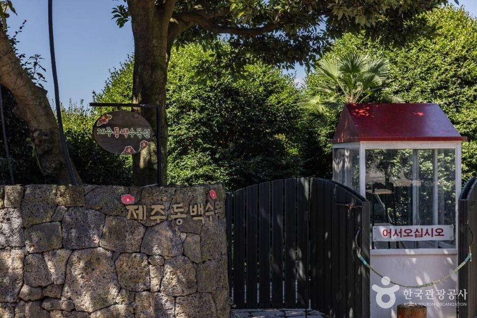 위미동백나무군락