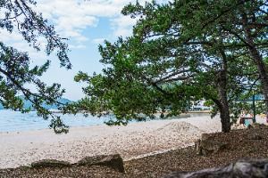 해남_해남 송호리 해송림 (5)