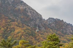 속초_설악산 케이블카 (1)