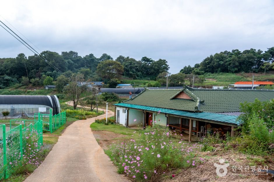 충남 서산빛들마을
