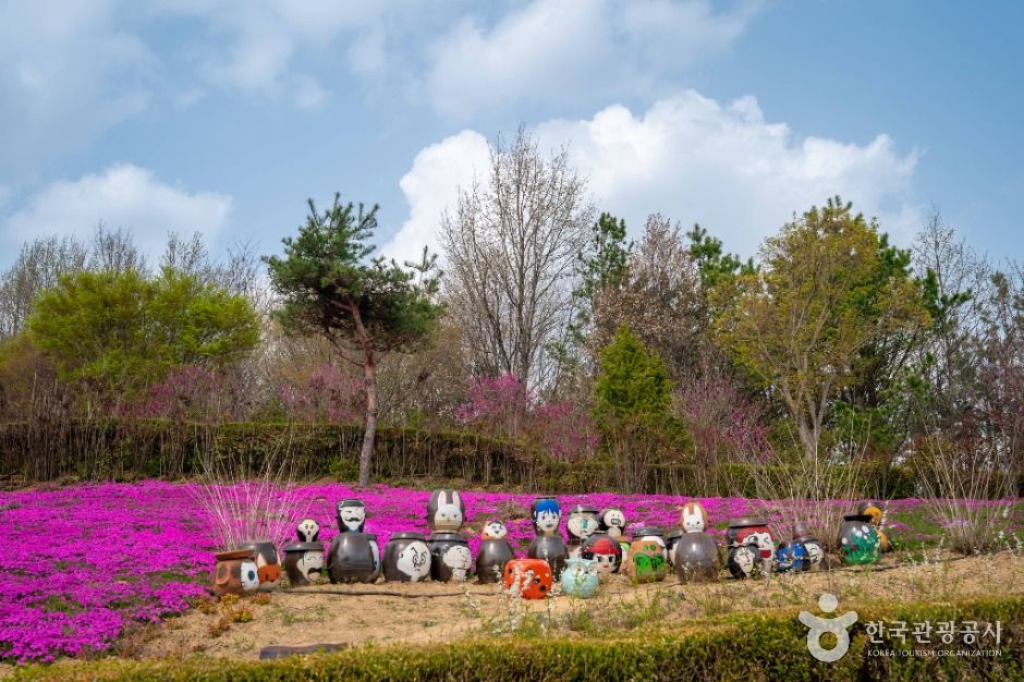 진안 꽃잔디동산