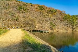 화순_세량지 (7)