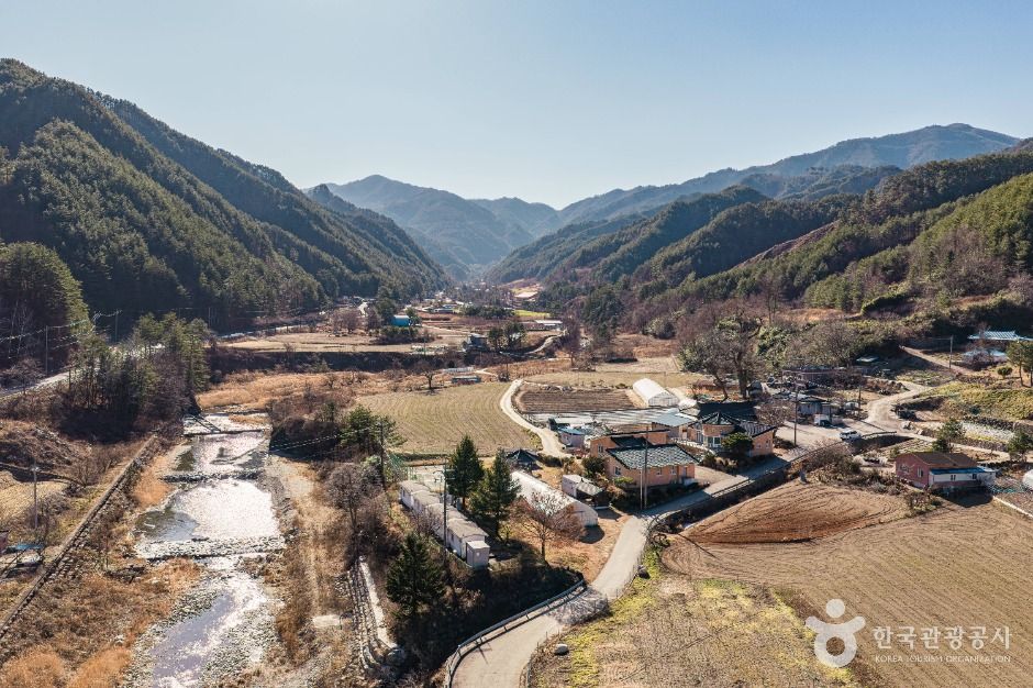 thumbnail-삼척 가시오가피마을-9