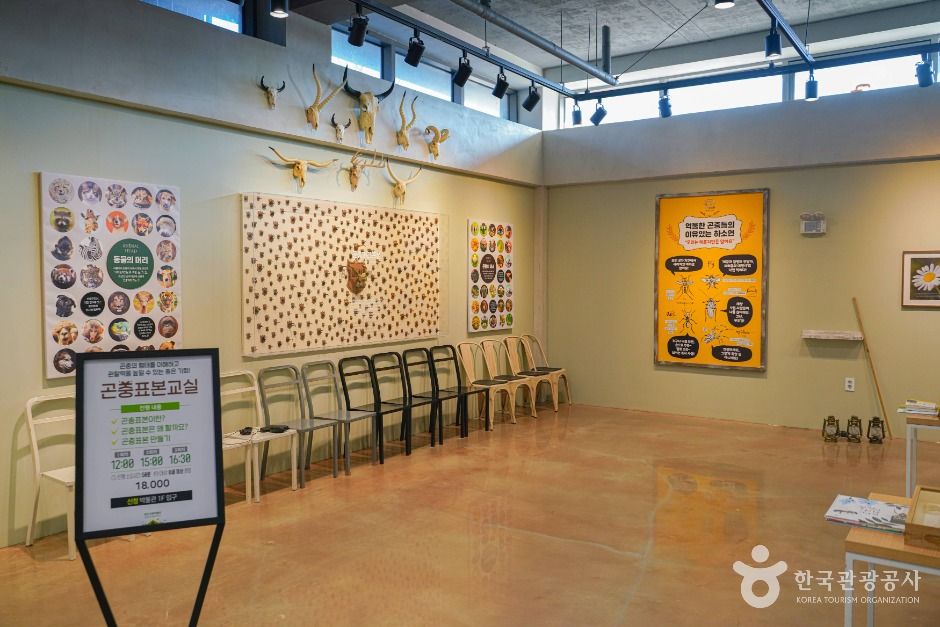 용인 곤충테마파크