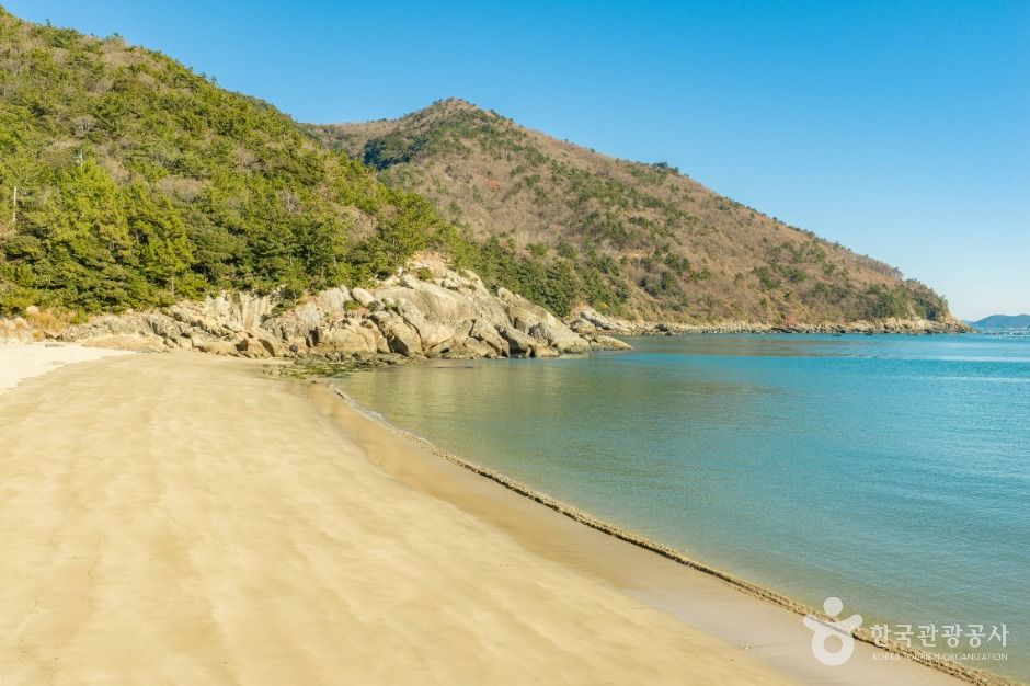 완도_가사동백숲해변 (2)