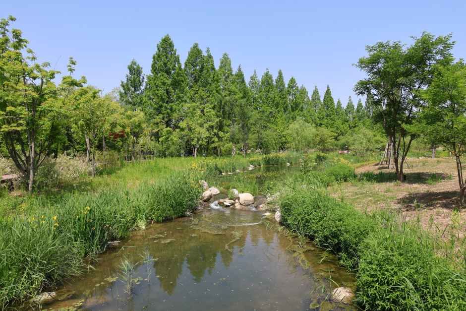 thumbnail-일월수목원-5
