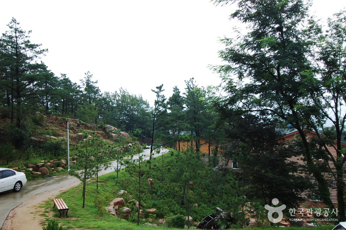 용봉산자연휴양림6