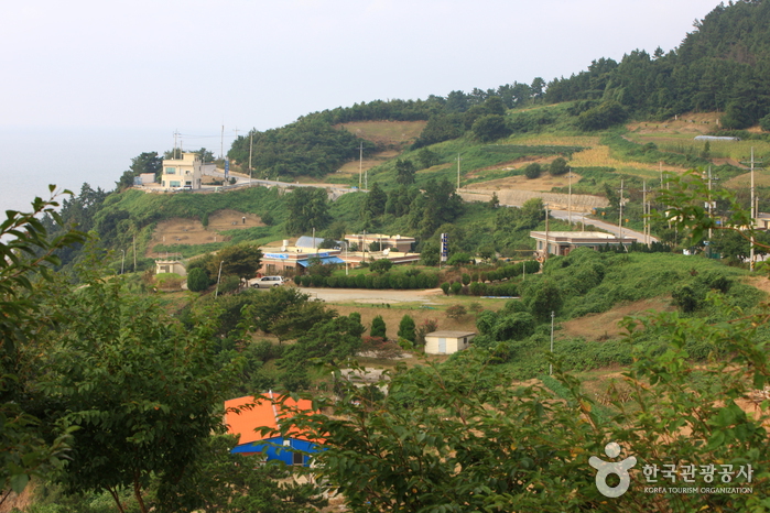 백수해안도로 사진17