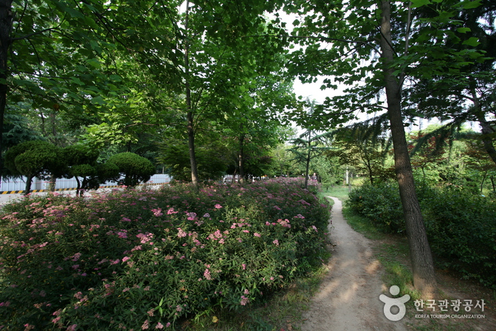 Parc Sinteuri (신트리공원)