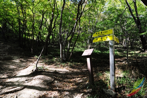 선운산도립공원 사진16
