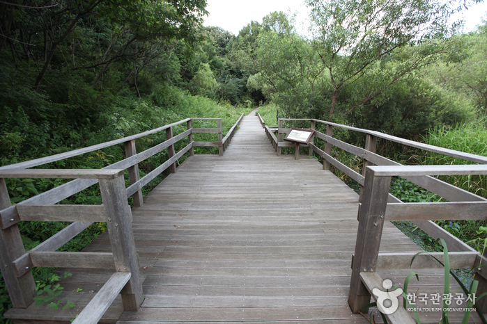 Gildong Ecological Park (길동생태공원)