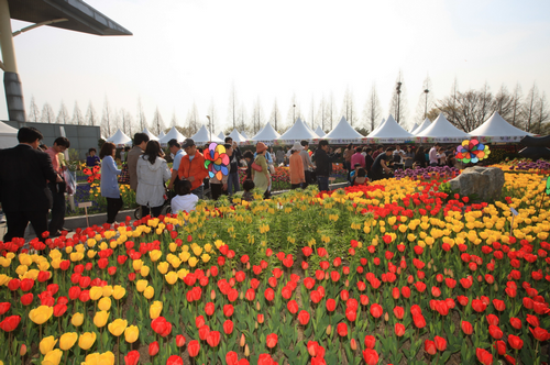 高阳国际花卉博览会 br () :韩国旅游官方网站