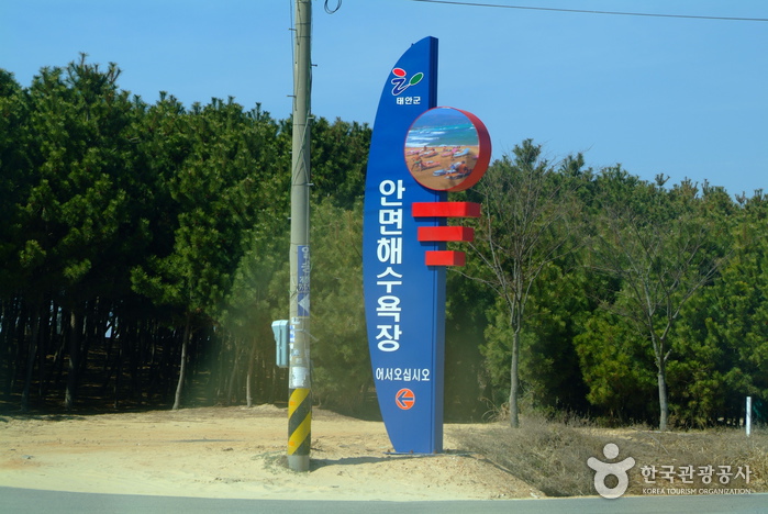 Anmyeon Beach (안면 해수욕장)0